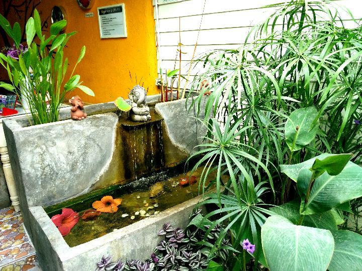 צ'יאנג מאי Yin Yang Guesthouse מראה חיצוני תמונה