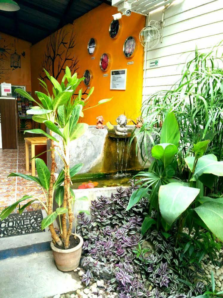 צ'יאנג מאי Yin Yang Guesthouse מראה חיצוני תמונה